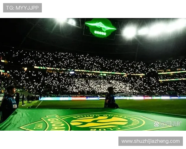 灵性瞬间国安角球战术运用塞尔吉尼奥巧妙一蹭成功破门